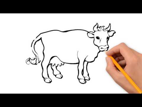 480x360 Cow Animals Pencil To Draw Step By Step - Cow Pencil Sketches
