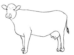 236x177 How To Draw A Cow Drawing Cow Drawing, Drawings - Cow Sketch