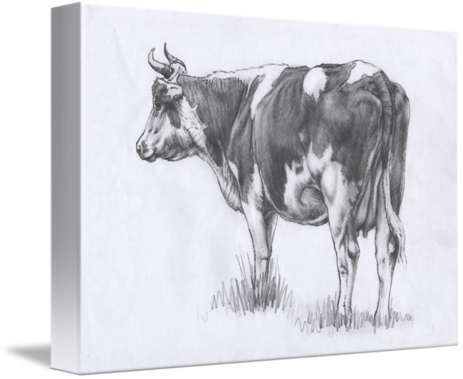 Cow Sketch at PaintingValley.com | Explore collection of Cow Sketch