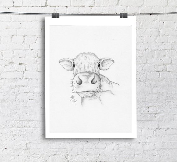 570x523 Cow Print 3 Farmhouse Decor Cow Sketch Rustic Home Decor Etsy - Cow Sketch Art