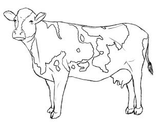 320x239 How To Draw A Cow Cows Drawings, Cow Drawing And - Cow Sketch Art