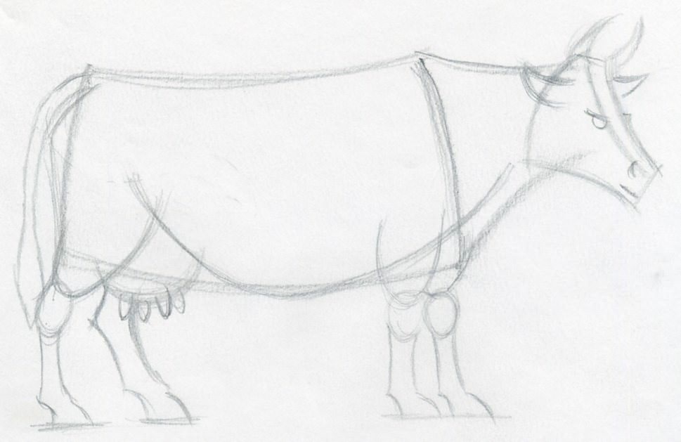 969x629 How To Draw A Cow Step By Step - Cow Sketch Art
