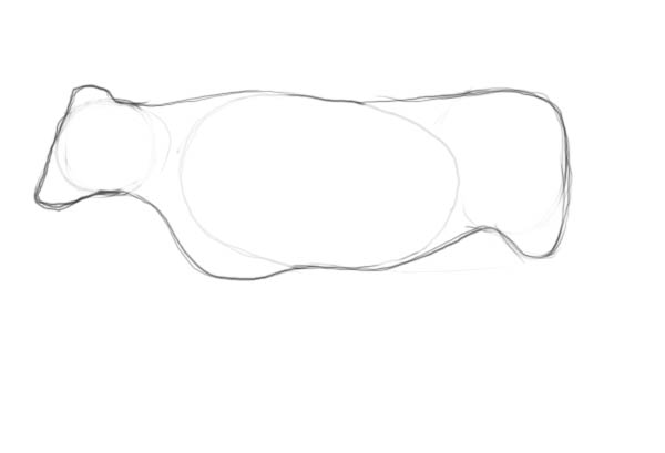 600x409 How To Draw A Cow Step By Step - Cow Sketch Easy