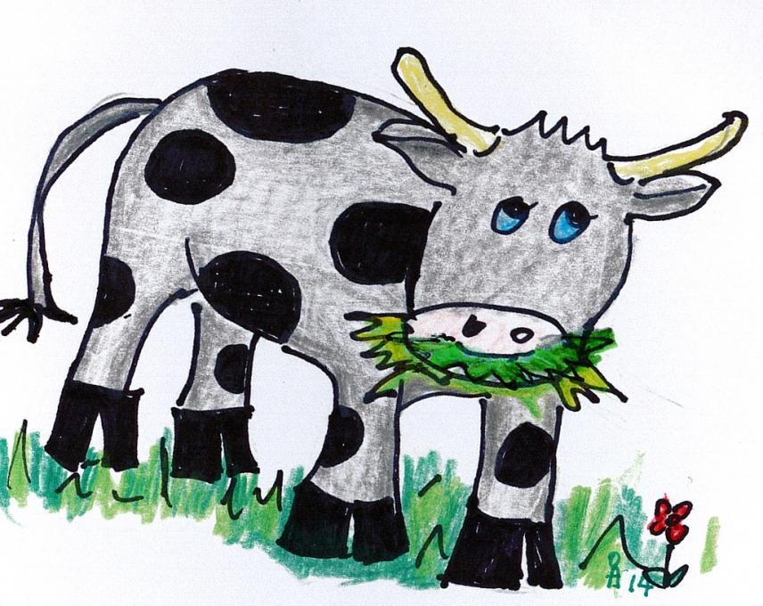 856x680 Cow. Nature. Drawings. Pictures. Drawings Ideas For Kids. Easy And - Cow Sketch Easy