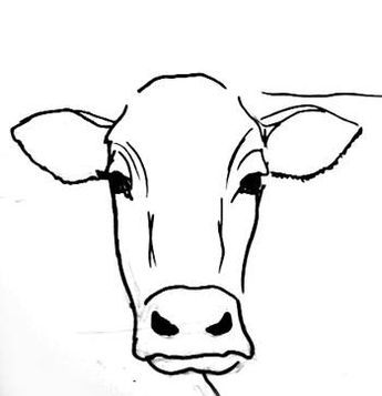 345x357 Step By Step Cow Drawing Face - Cow Sketch Easy