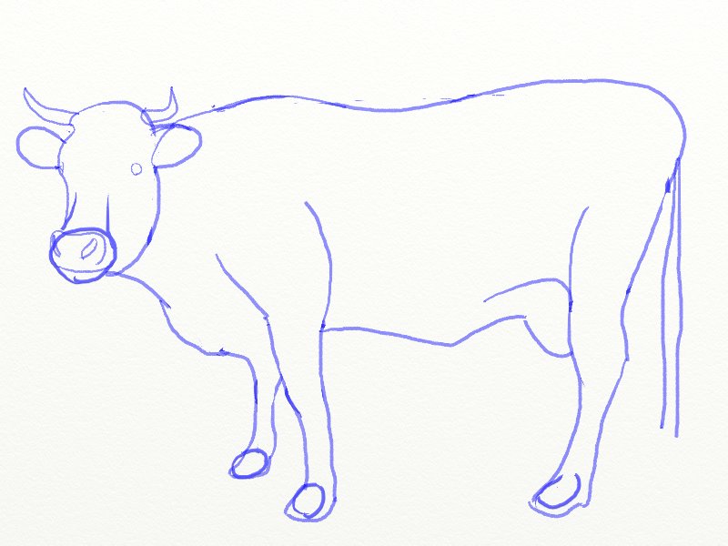 800x600 How To Draw A Cow - Cow Sketch For Kids