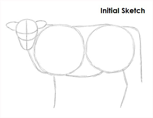 500x386 How To Draw A Cow - Cow Sketch Images