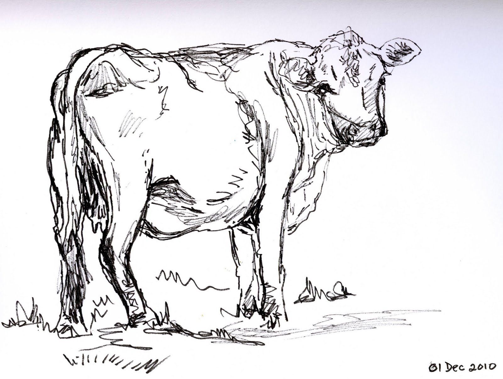 1600x1204 Love You Like A Cow Cows Cow Sketch, Drawings And - Cow Sketch Images
