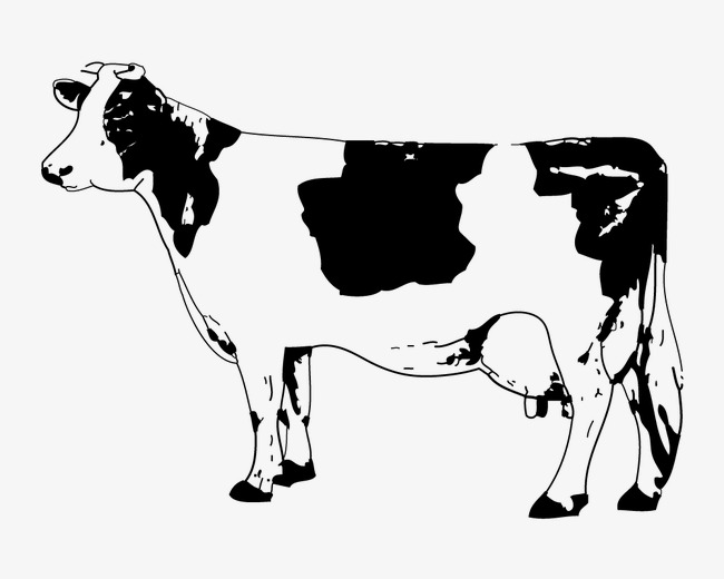 650x520 Sketch Cow, Dairy Cow, Sketch, Hand Painted Png And Vector For - Cow Sketch Images