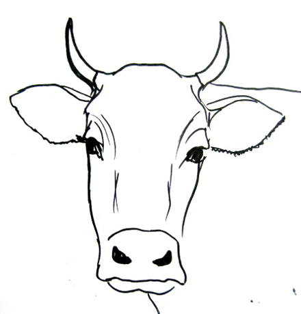 440x459 Cow Sketch Drawing Skill - Cow Sketch Images