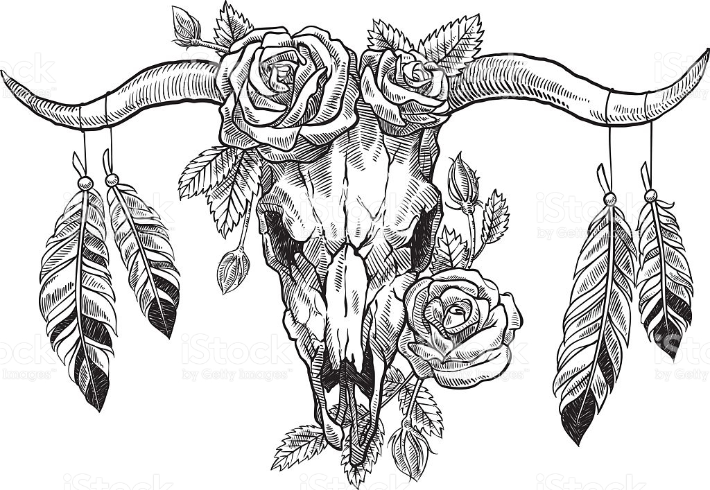 Cow Skull Sketch at PaintingValley.com | Explore collection of Cow