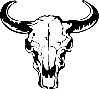 340x308 Cow Skull Drawing - Cow Skull Sketch