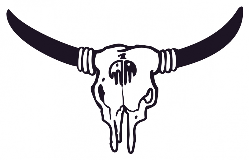 800x515 Longhorn Cattle Clipart Cow Skull - Cow Skull Sketch
