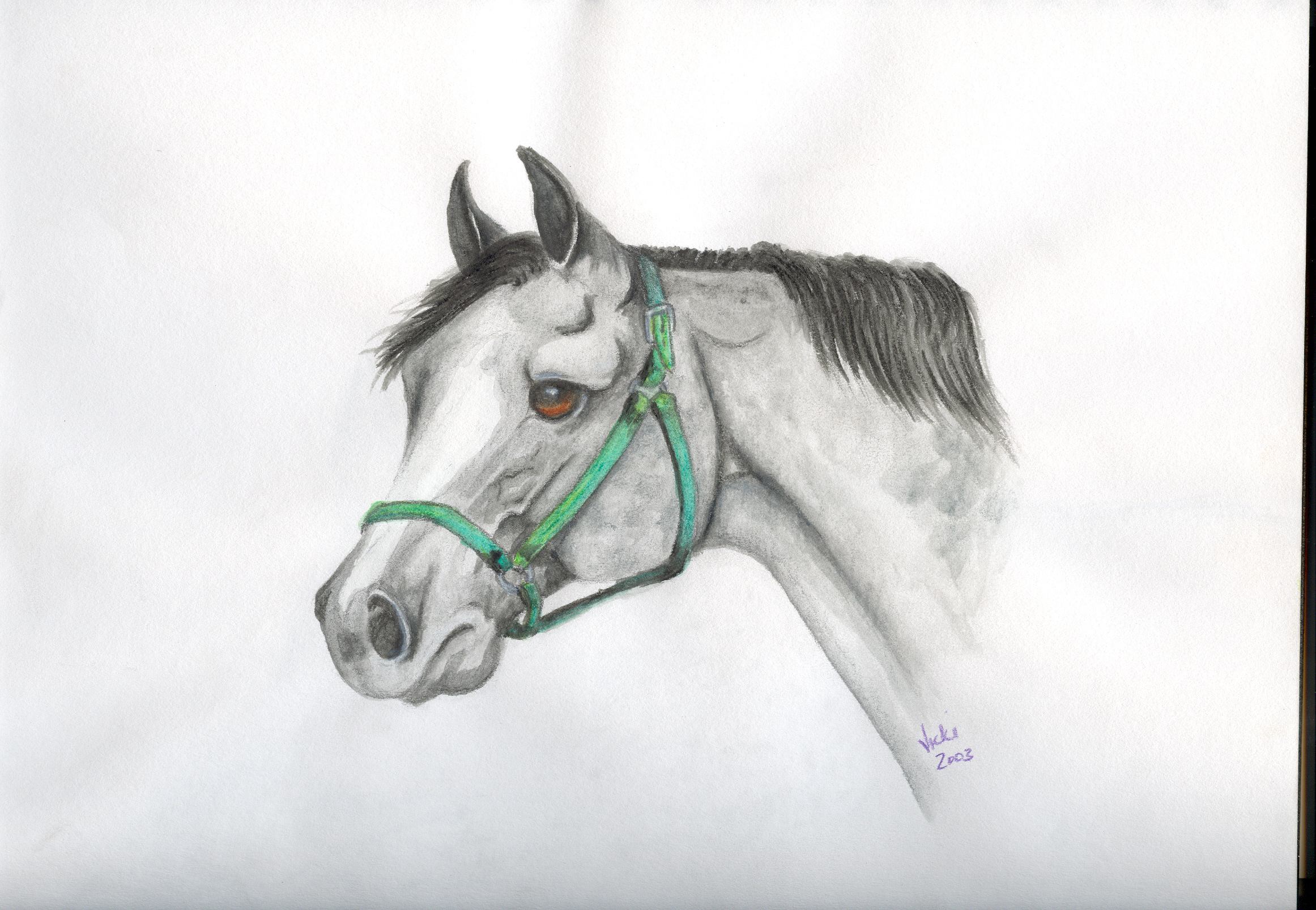 2323x1607 Sketchbook Amp Painted Cow Skulls - Cow Skull Sketch