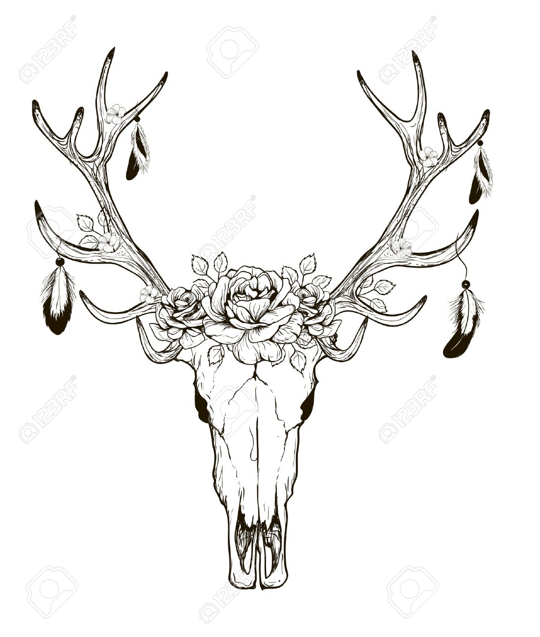 1102x1300 Sketch Of A Deer Head Deer Skull Black White Sketch, Illustrations - Cow Skull Sketch