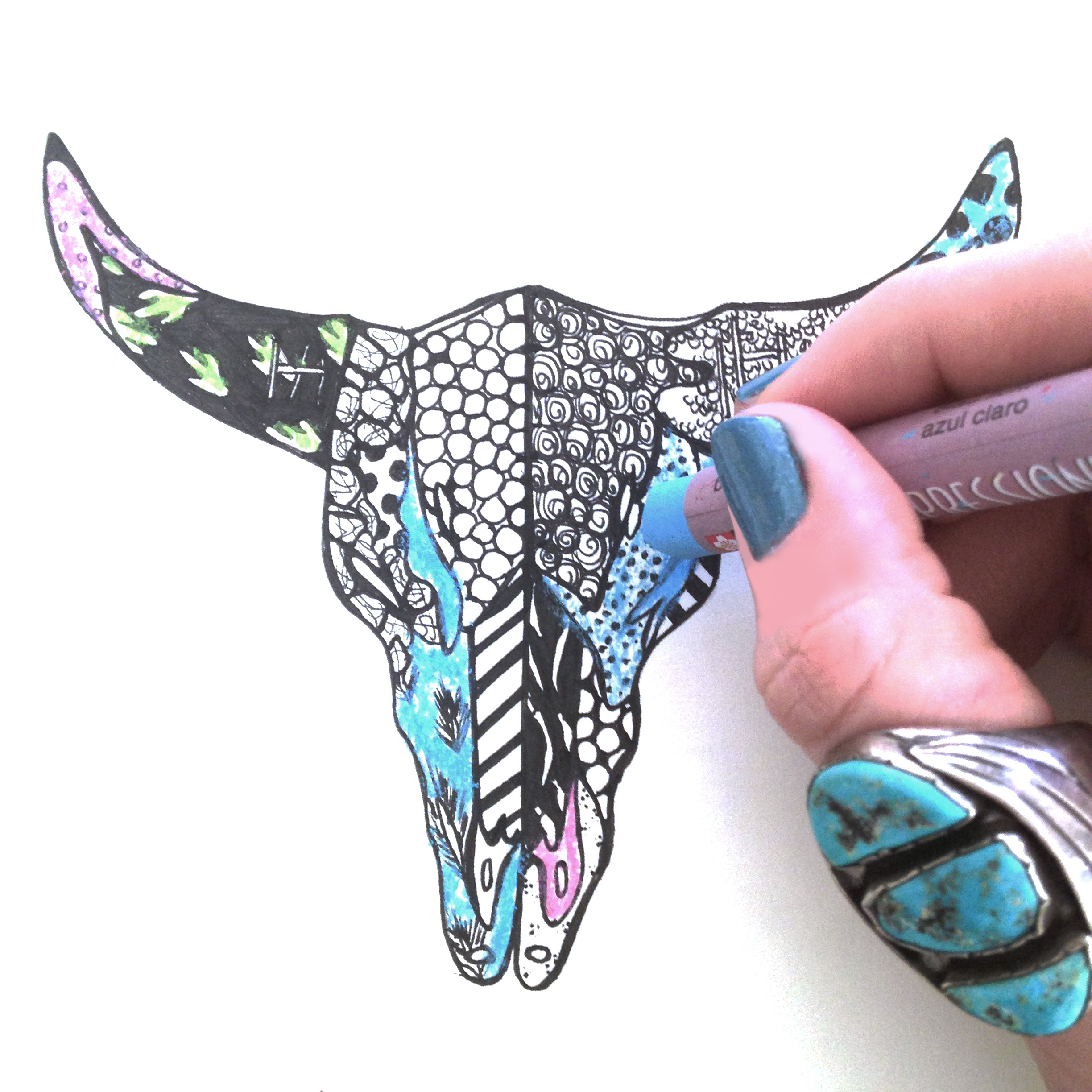 2448x2448 Cow Skull Drawing Kelsey Montague Art - Cow Skull Sketch