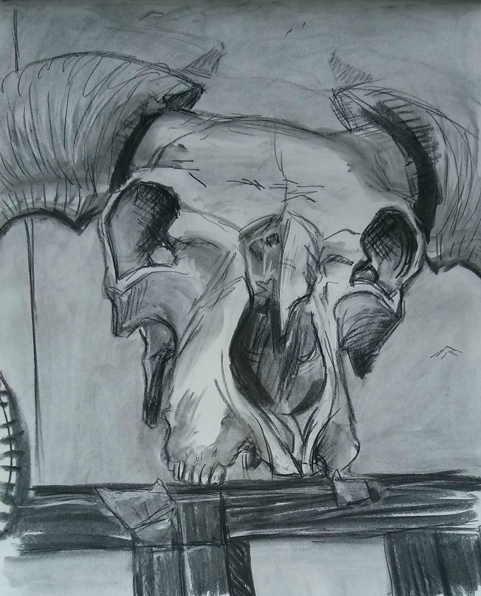 1617x2004 Bull Skull Charcoal Drawing - Cow Skull Sketch