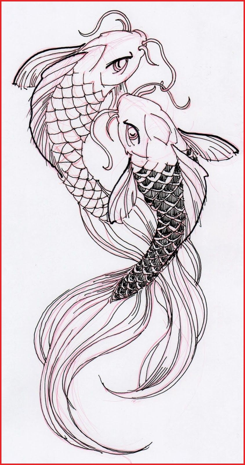 845x1600 Koi Fish Sketch Drawing Pictures - Coy Fish Sketch