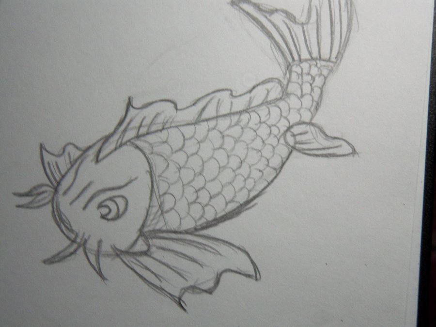 900x675 Koi Fish Sketch By Shmad380 - Coy Fish Sketch