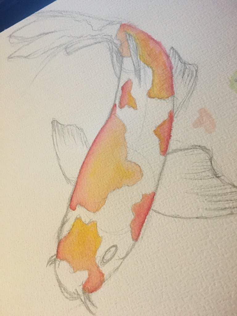 768x1024 Koi Fish Sketch Art Amino - Coy Fish Sketch