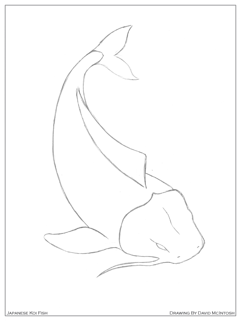 768x1024 Simple Koi Fish Sketch - Coy Fish Sketch