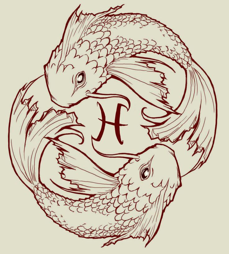 736x815 Drawn Koi Fish Pisces - Coy Fish Sketch