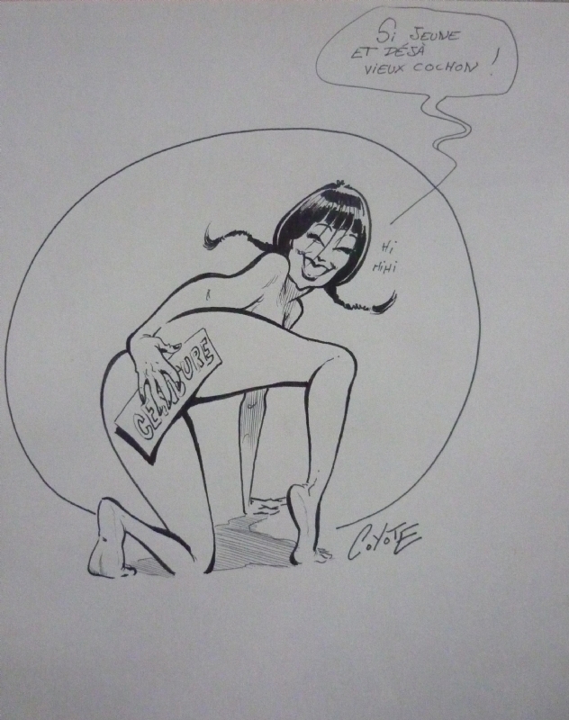 632x800 Coyote - Coyote Sketch