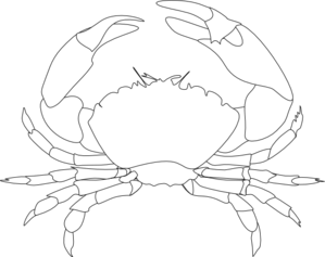 299x237 Crab Clipart Sketch - Crab Sketch