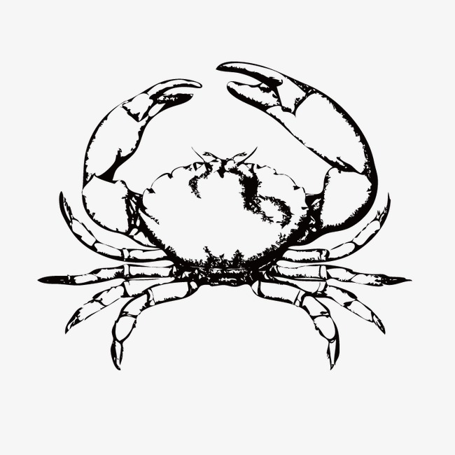 650x650 Hand Painted Crab, Sketch, Vector, Animal Png And Vector For Free - Crab Sketch