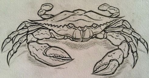 490x258 Sketchbook Tattoo Crab Tattoo, Tattoos And Tattoo - Crab Sketch