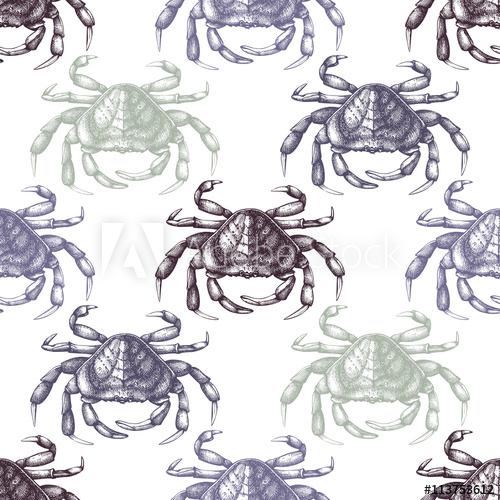 500x500 Vector Crab Background. Seamless Sea Life Pattern. Hand Drawn Crab - Crab Sketch