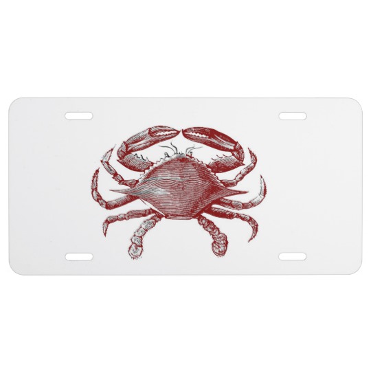 540x540 Feeling Crabby Red Pencil Crab Sketch License Plate - Crab Sketch Images