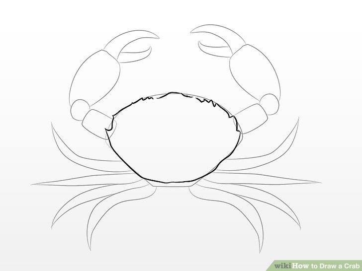 728x546 How To Draw A Crab 10 Steps (With Pictures) - Crab Sketch Images