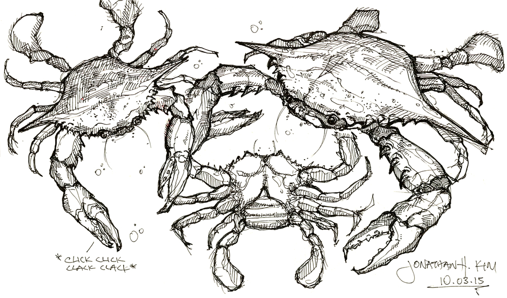 Crab Sketch Images At Explore Collection Of Crab