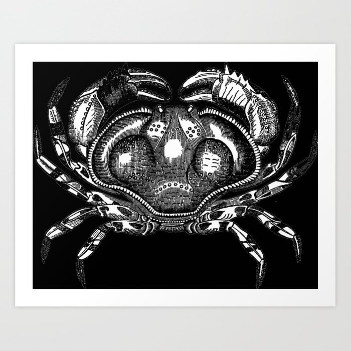 700x700 Cool Aqua Animal Crab Sketch Design Art Print By - Crab Sketch Images