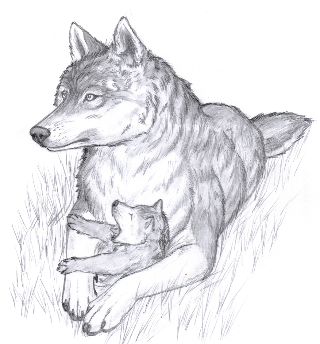 1043x1122 Wolf Mother By Crackers - Crackers Sketch