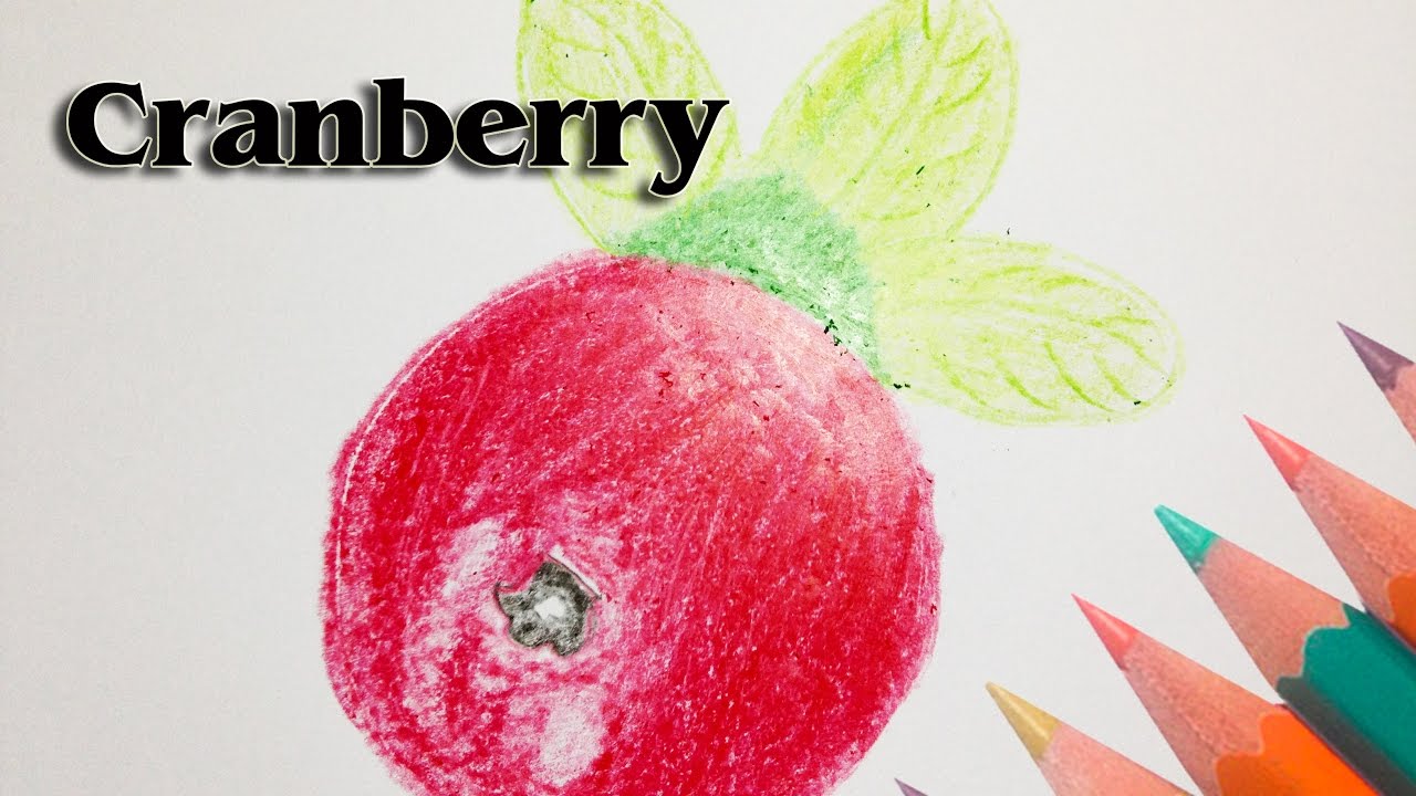 1280x720 How To Draw An Cranberry Fruit - Cranberry Sketch