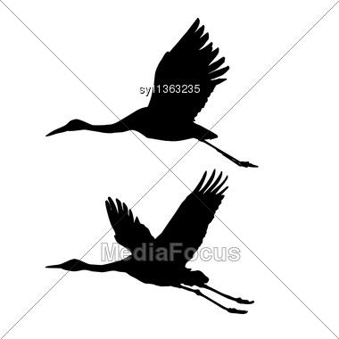 380x380 Collection Of Crane Bird Flying Drawing High Quality, Free - Crane Bird Sketch