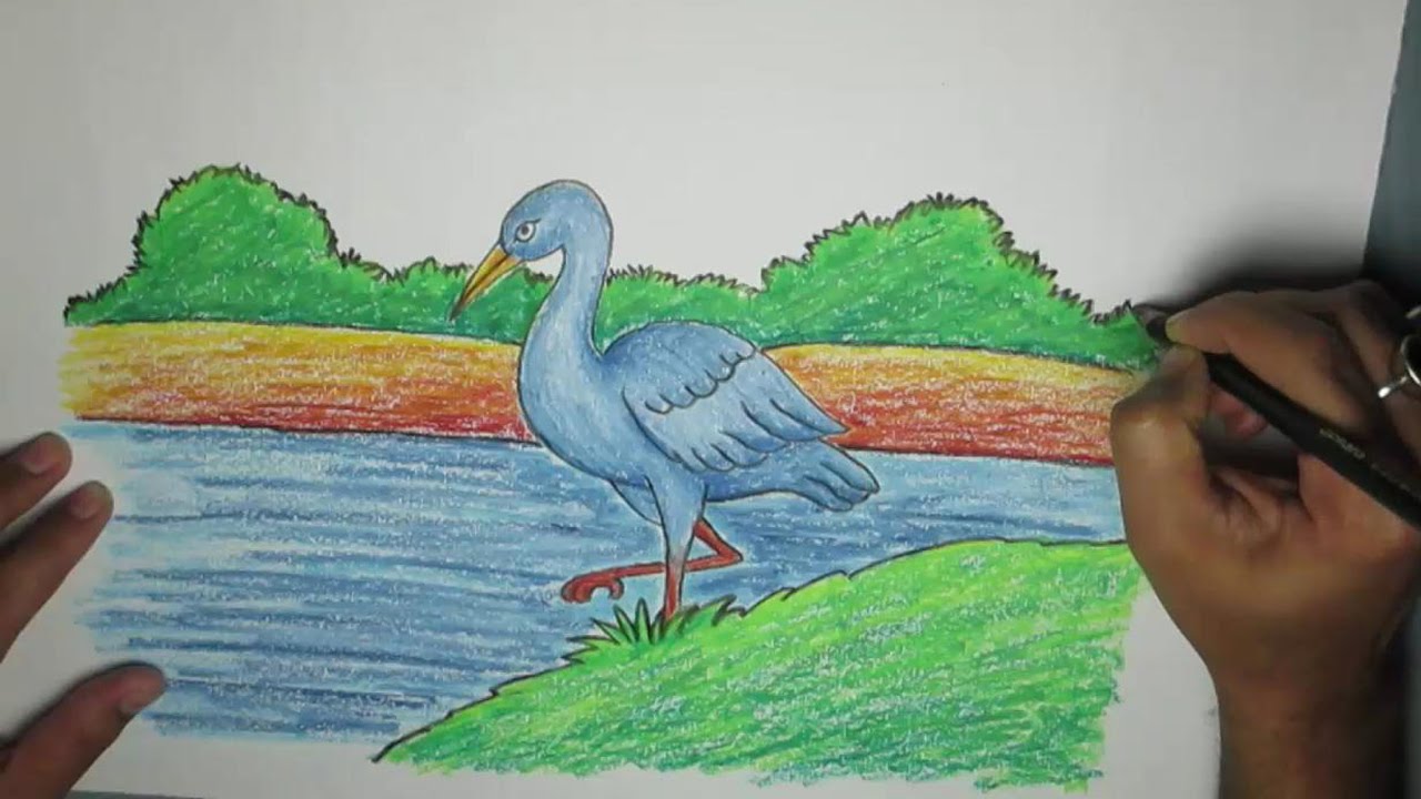 1280x720 How To Draw A Crane Bird With Oil Pastel - Crane Bird Sketch