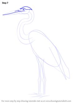 236x333 Learn How To Draw A Crane (Birds) Step By Step Drawing Tutorials - Crane Bird Sketch
