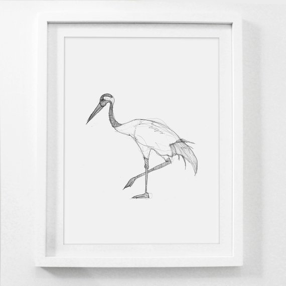 570x570 Bird Sketch Bird Drawing Pencil Drawing Framed Sketch Hand - Crane Bird Sketch