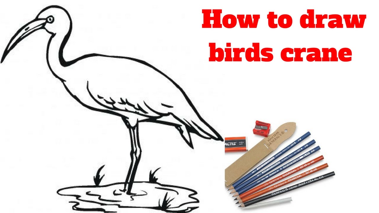 1280x720 How To Draw Birds Crane Draw Sketch - Crane Bird Sketch