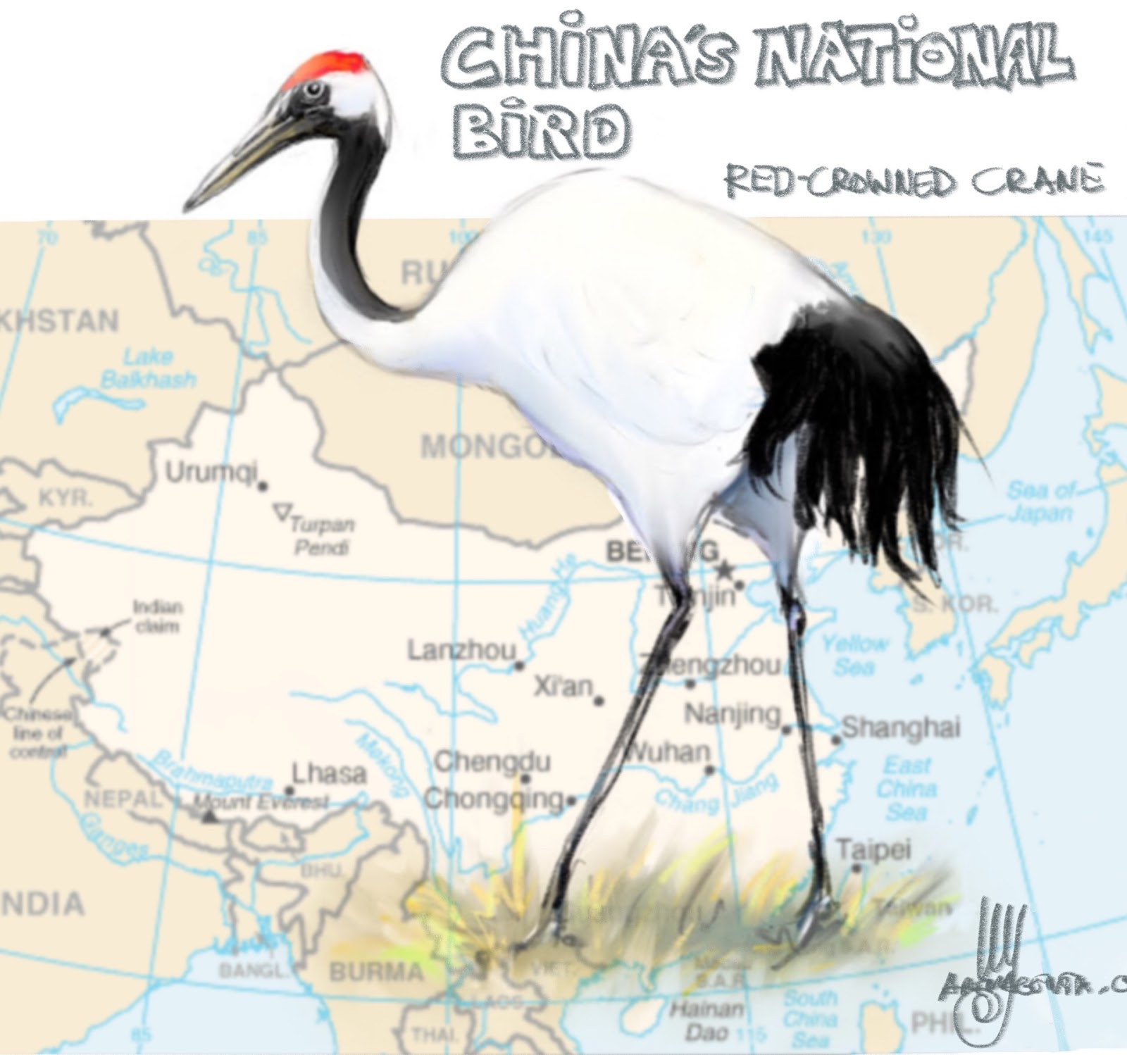 1600x1498 Birds Cranes - Crane Bird Sketch