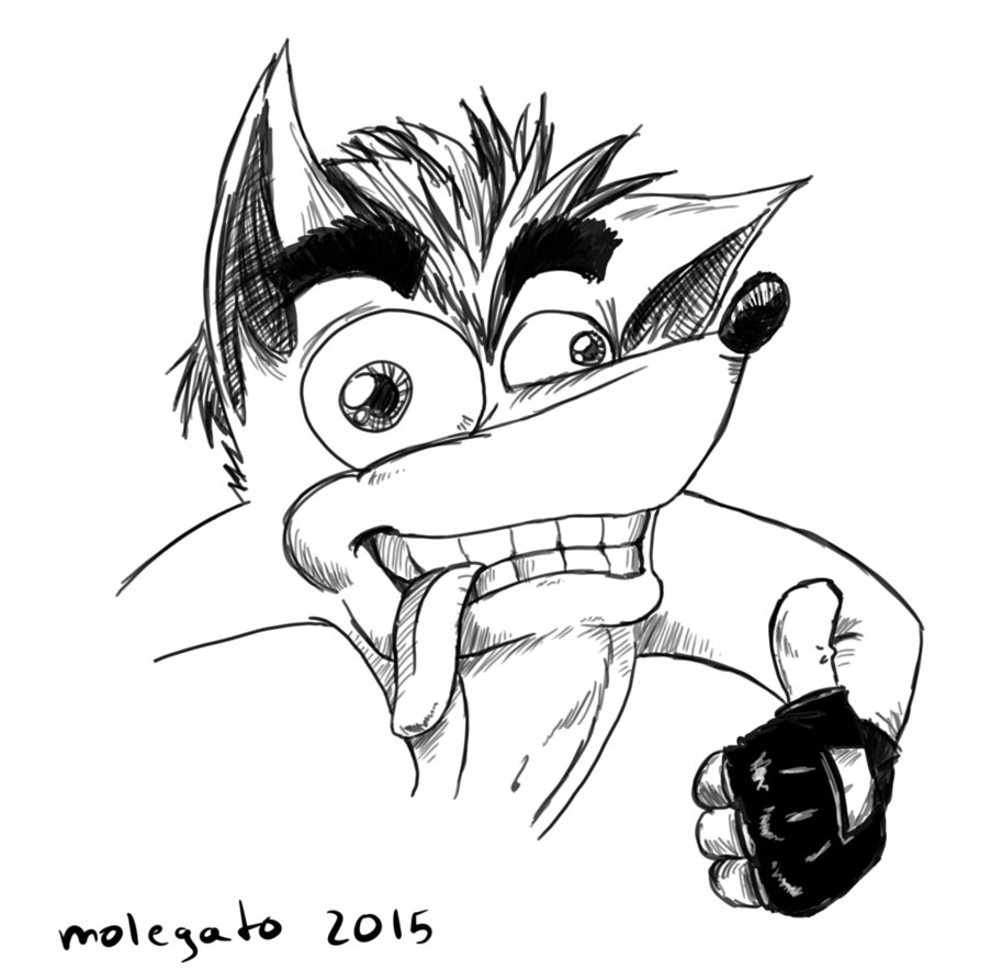 903x884 Fanart Crash Bandicoot Sketch By Molegato - Crash Bandicoot Sketch