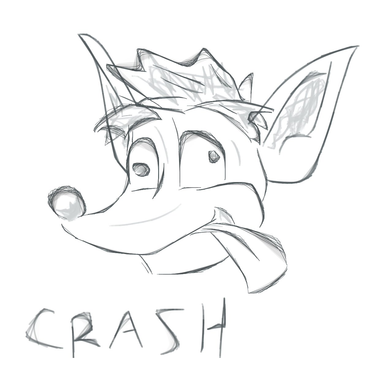 1240x1240 Crash Bandicoot Drawing Photos Drawing Skill - Crash Sketch