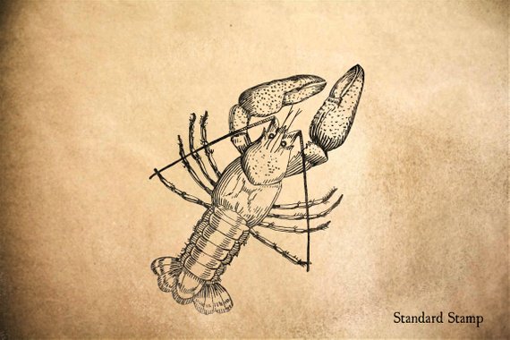 570x380 Crawfish Rubber Stamp 3 X 2 Inches Etsy - Crawfish Sketch