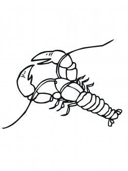 262x350 Crawfish Clipart Simple - Crawfish Sketch