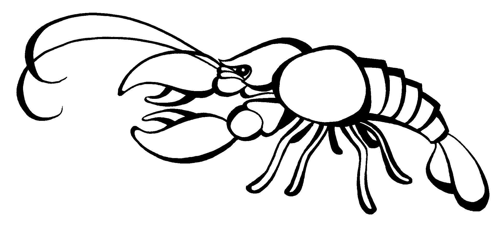 1924x889 I Pinch. Lisa Gaumond - Crawfish Sketch