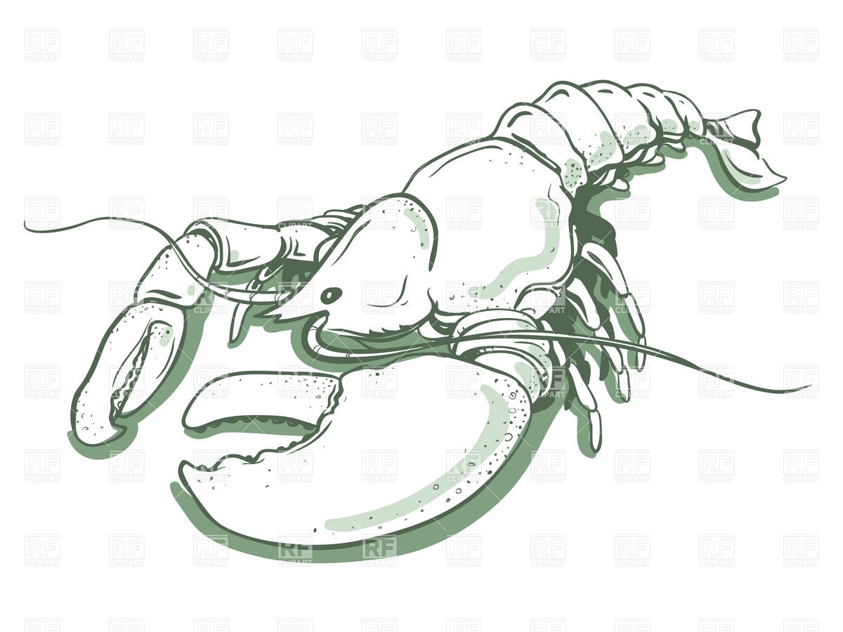 1200x900 Sketch Of Lobster Vector Image Vector Artwork Of Plants And - Crawfish Sketch
