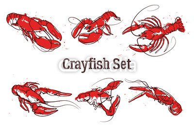 400x267 Hand Drawn Prawn Or Lobster. Text Crayfish Set. Sketch Grunge - Crayfish Sketch